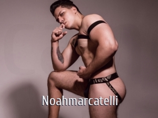 Noahmarcatelli