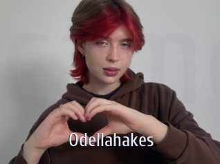 Odellahakes