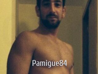 Pamigue84