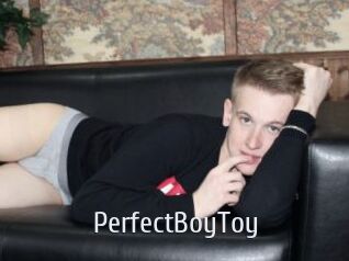 PerfectBoyToy