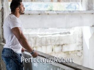 PerfectguyRobert