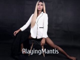 PlayingMantis