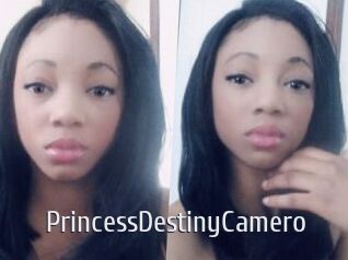 PrincessDestinyCamero