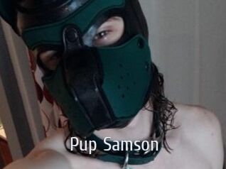 Pup_Samson