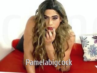 Pamelabigcock