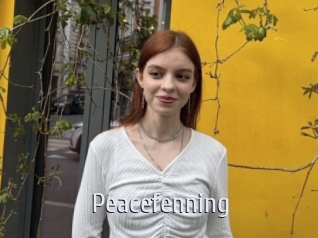 Peacefenning