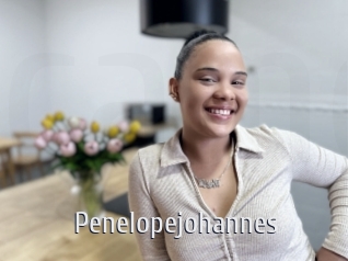 Penelopejohannes