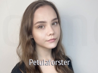 Petulaforster