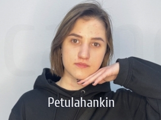 Petulahankin