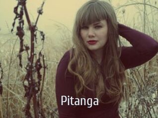 Pitanga