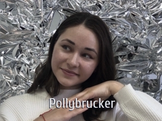 Pollybrucker