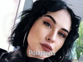 Pollymurs