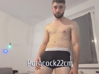 Porncock22cm