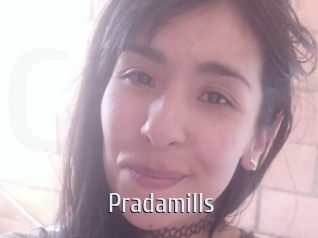 Pradamills