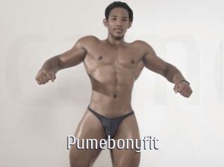 Pumebonyfit