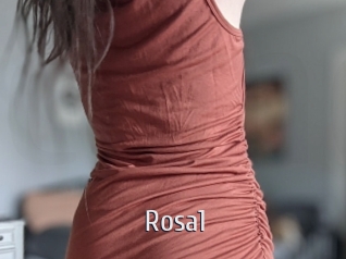 Rosa1