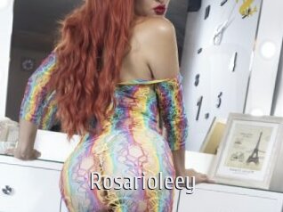 Rosarioleey
