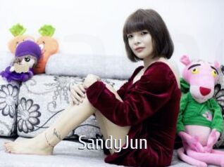 SandyJun