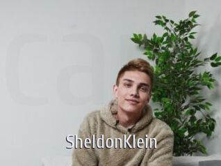 SheldonKlein