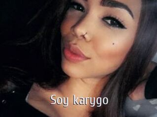 Soy_karygo