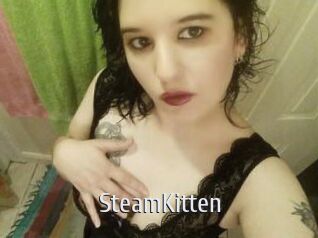 SteamKitten