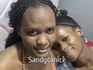 Sandycanice