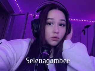 Selenagambee