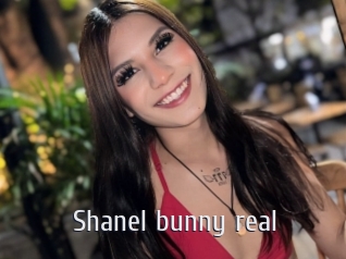 Shanel_bunny_real