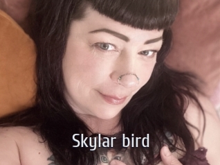 Skylar_bird