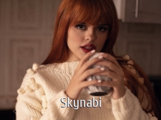 Skynabi