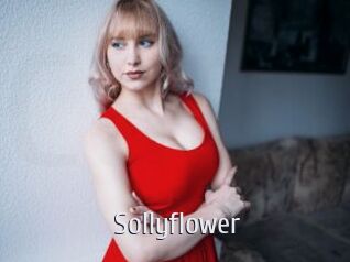 Sollyflower
