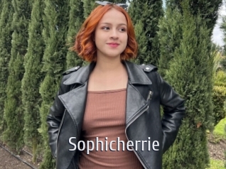 Sophicherrie