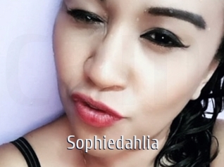 Sophiedahlia