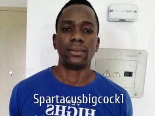 Spartacusbigcock1