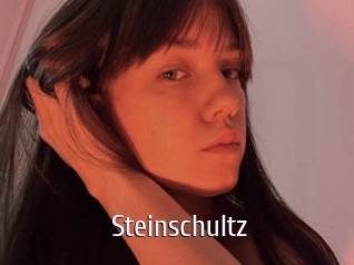 Steinschultz