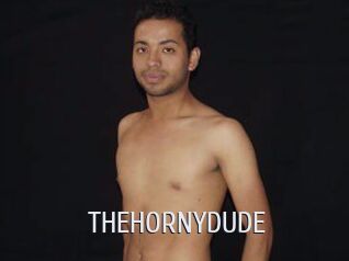 THEHORNYDUDE