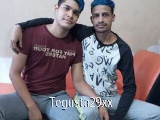 Tegusta29xx