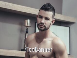 TeoBanner