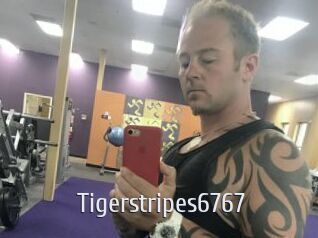 Tigerstripes6767