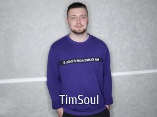 TimSoul