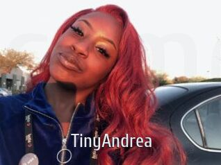 TinyAndrea