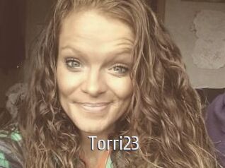 Torri23