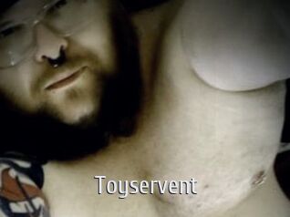 Toyservent