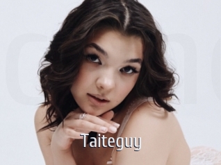 Taiteguy