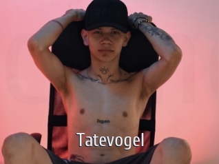 Tatevogel