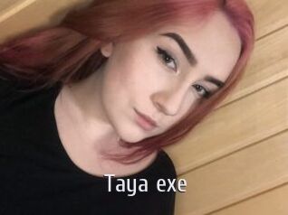 Taya_exe