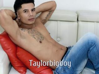 Taylorbigboy