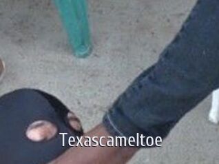 Texascameltoe