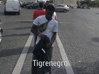 Tigrenegro