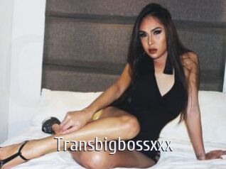 Transbigbossxxx